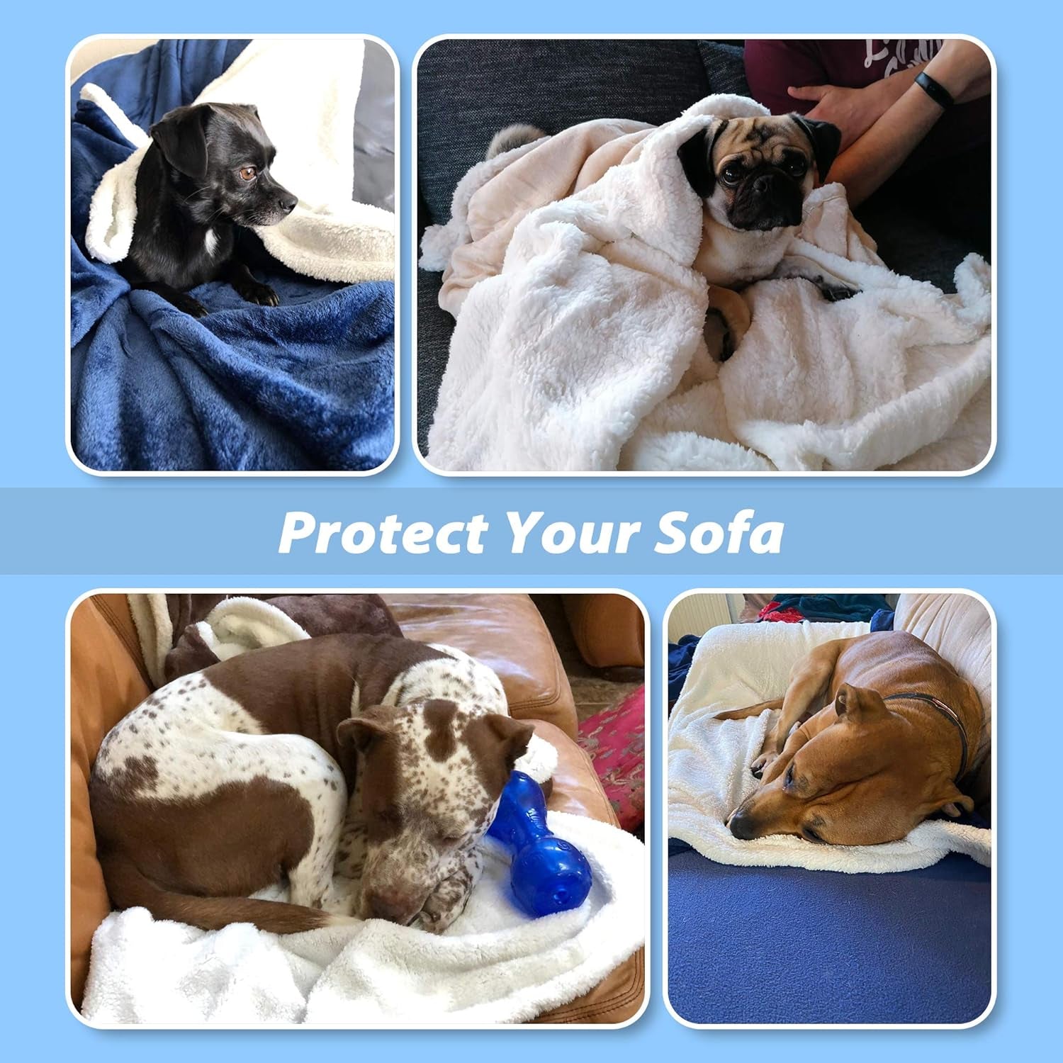 Dog Blankets for Large Dogs, Soft Fluffy Fleece Pet Blankets for Couch, Sofa, Dog Beds, Car Seats, Creat, Washable, 50X60 Inches, Blue